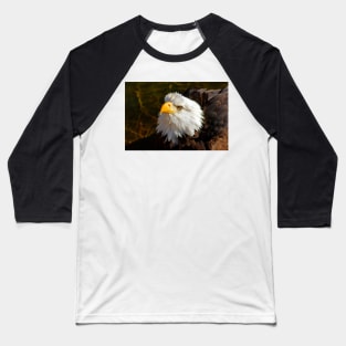 Bald Eagle in Splendor Baseball T-Shirt